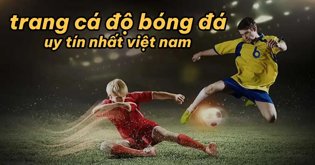 trang cá độ bóng đá uy tín nhất việt nam